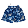Flap Happy Blue Shark Print Swim Suit - Size 12 Mo