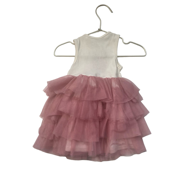 Angel Dear Ivory Embroidered Ballet Slipper & Pink Tulle Dress - Size 12-18 Mo
