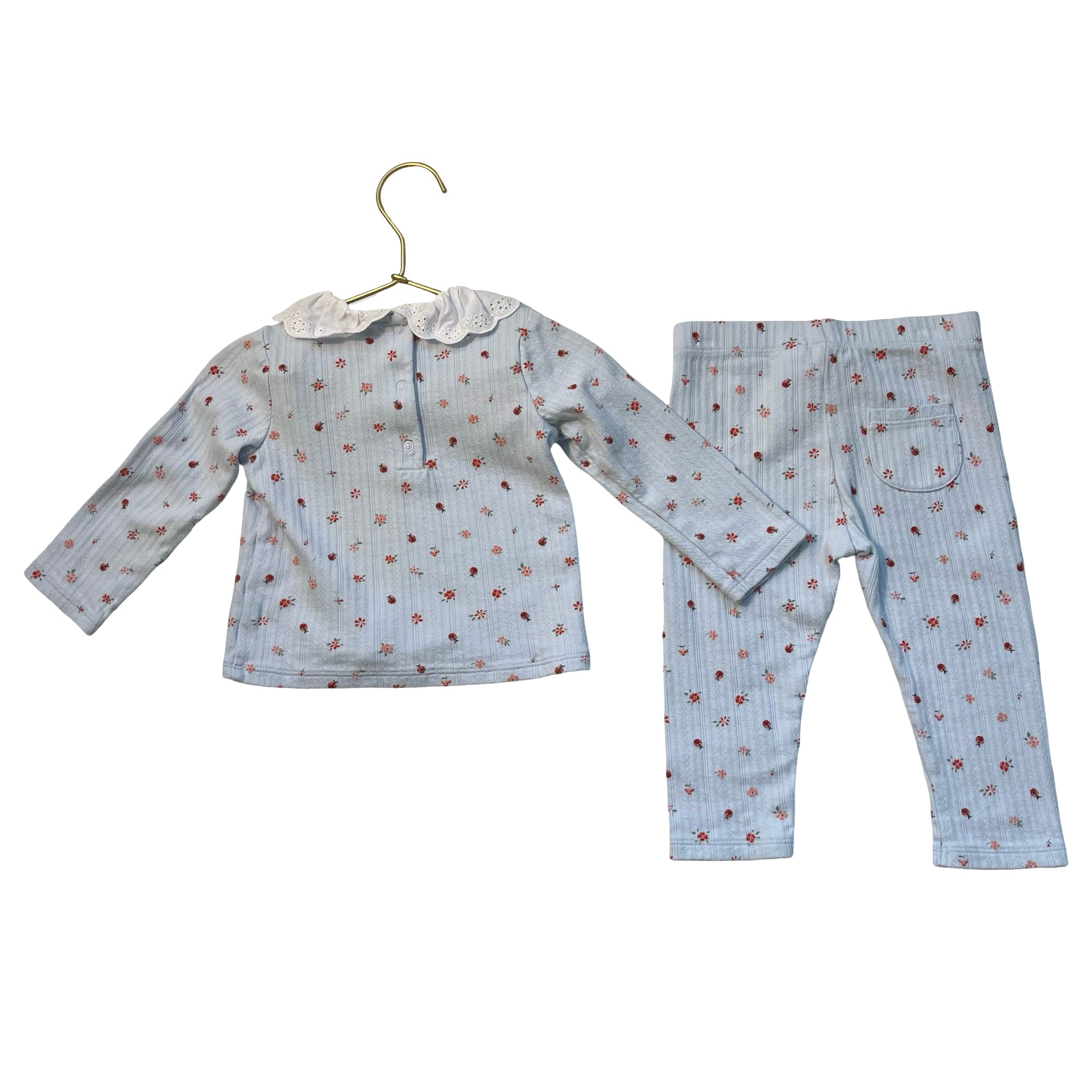 Janie and Jack Light Blue Ribbed Flower & Ladybug Top & Leggings - Size 12-18 Mo