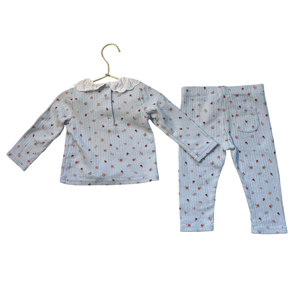 Janie and Jack Light Blue Ribbed Flower & Ladybug Top & Leggings - Size 12-18 Mo