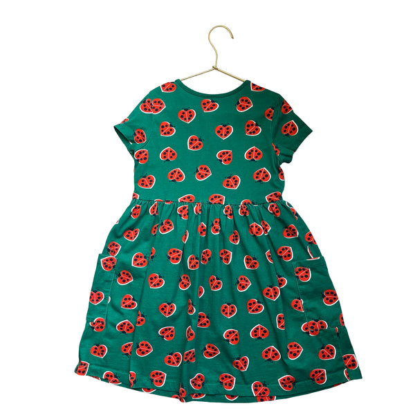 Hanna Andersson Green & Red Ladybug Print Dress - Size 8