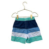 Hanna Andersson Blue, Navy, Teal, White Striped Swim Shorts - Size 3T