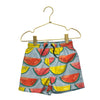 Tea Collection Light Blue Watermelon Print Swim Shorts - Size 3