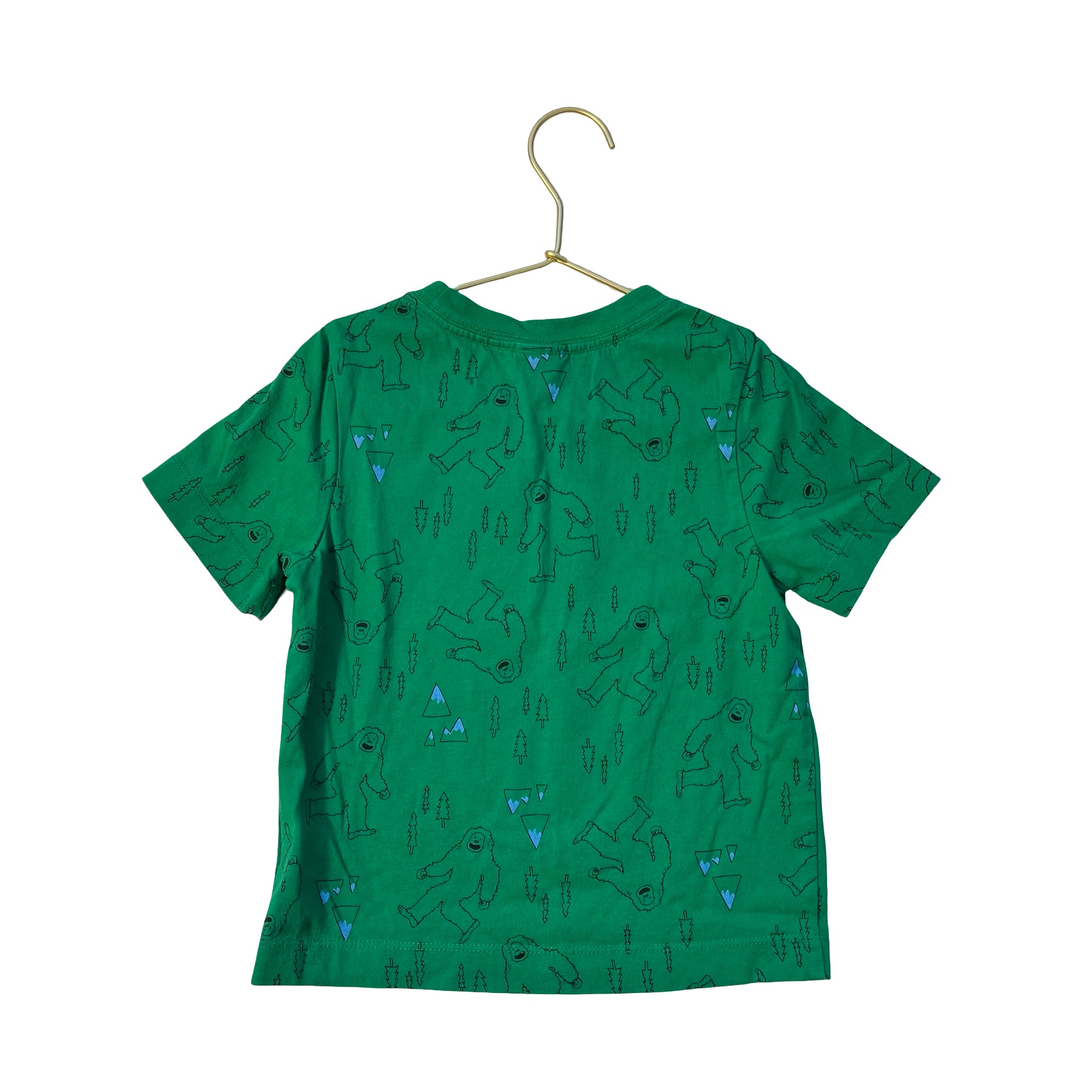 Hanna Andersson Green Yeti, Tree, Mountain Print T-Shirt - Size 3