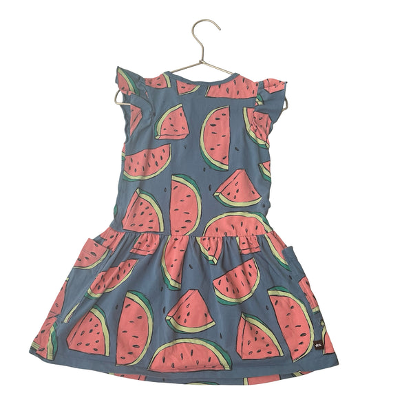 Tea Slate Blue & Watermelon Print Dress - Size 5