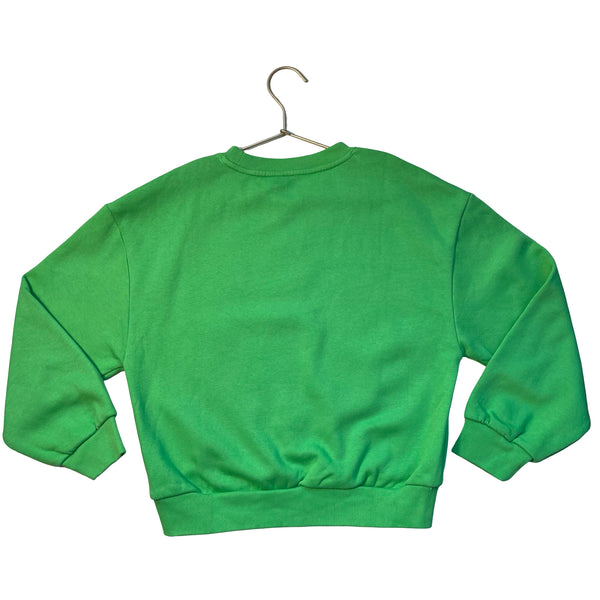 Gap Kids Green Sweatshirt - Size L 10