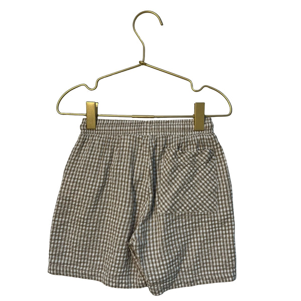 Zara Tan & Ivory Check Seersucker Shorts - Size 4