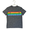 Hanna Andersson Heather Gray & Rainbow Palm Tree Athletic T-Shirt - Size 8