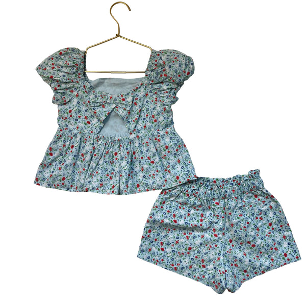Janie and Jack Light Blue Floral Shorts & Top Set - Size 6