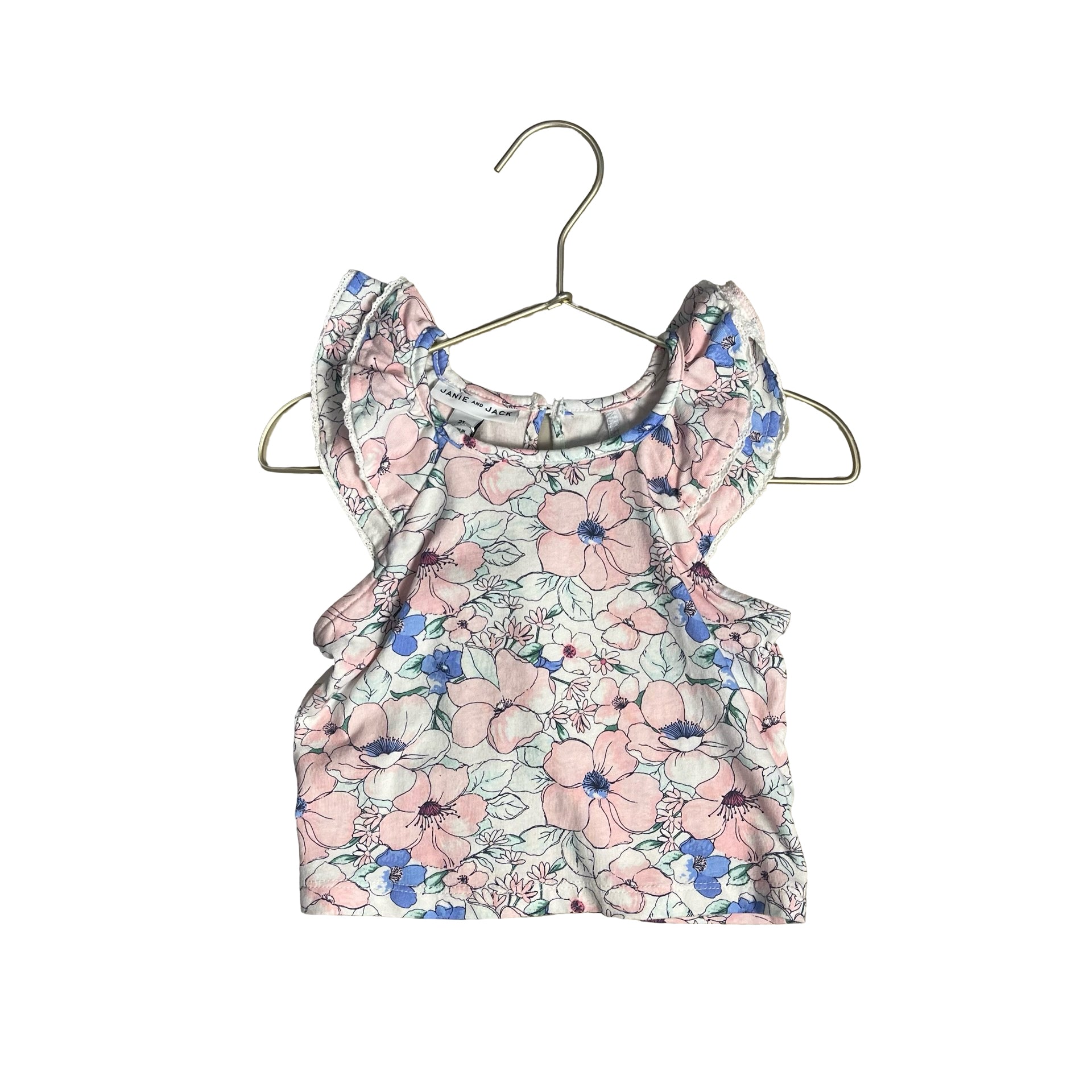 Janie and Jack Ivory, Pink, Blue Flower Print Dress - Size 2T