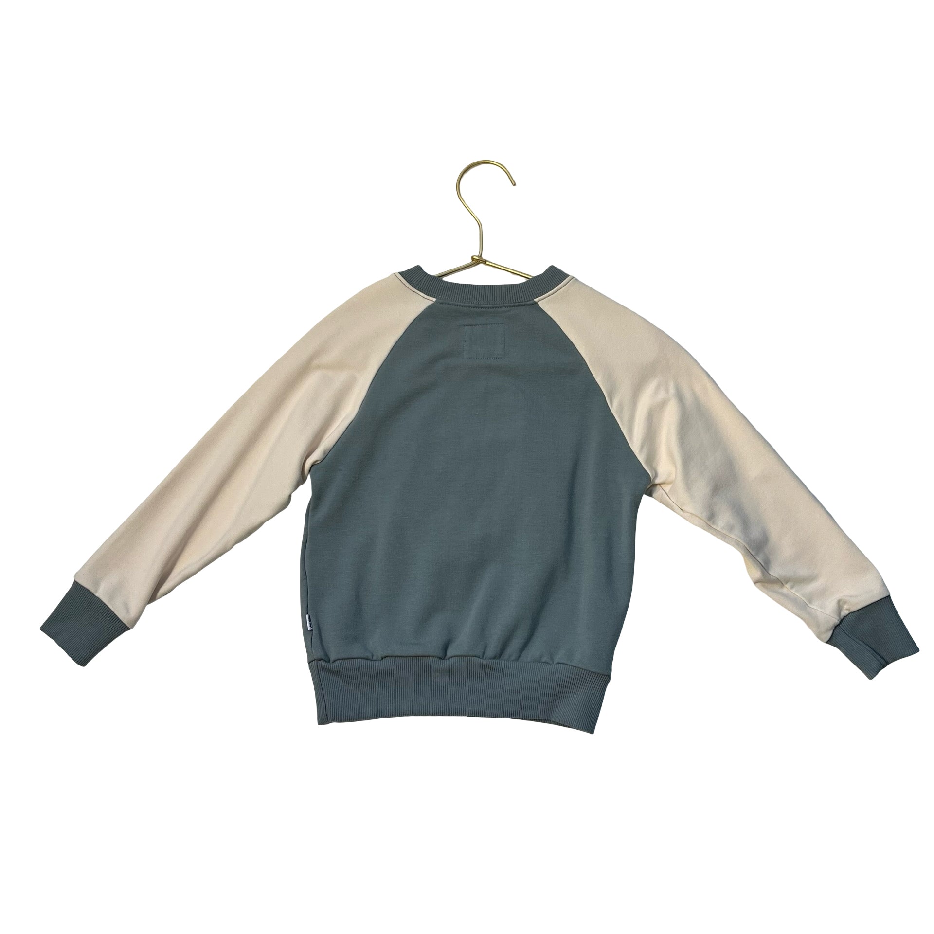 Play by Little Sleepies  Sage Green & Sherpa Bear Sweatshirt - Size 3T