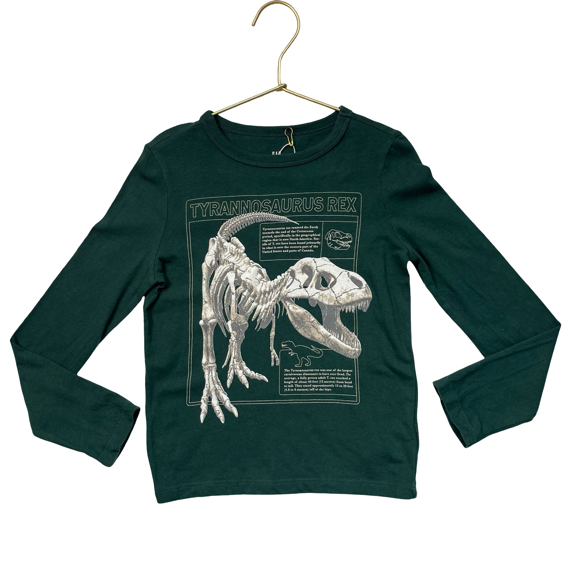Gap Kids Green Dino Graphic Shirt - Size XS 4-5