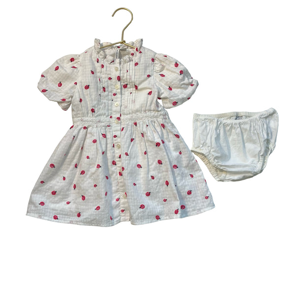 Janie and Jack White & Red Ladybug Print Dress & Bloomers - Size 12-18 Mo