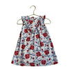Carter's Ivory, Blue & Red Floral Sleeveless Dress - Size 18 Months - Bounce Mkt