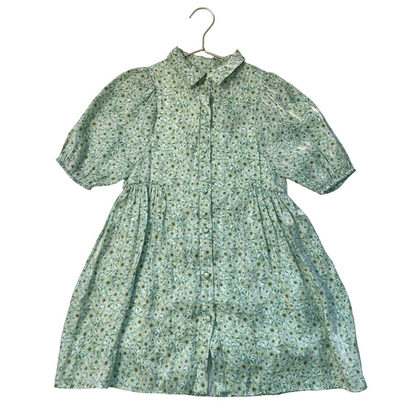 Zara Green Floral Shirt Dress - Size 9