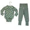 Hanna Andersson Green Turtle Print Bodysuit & Striped Pants Set - 12-18 Mo