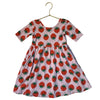 Hanna Andersson Pink & Red Strawberry Print Dress - Size 4