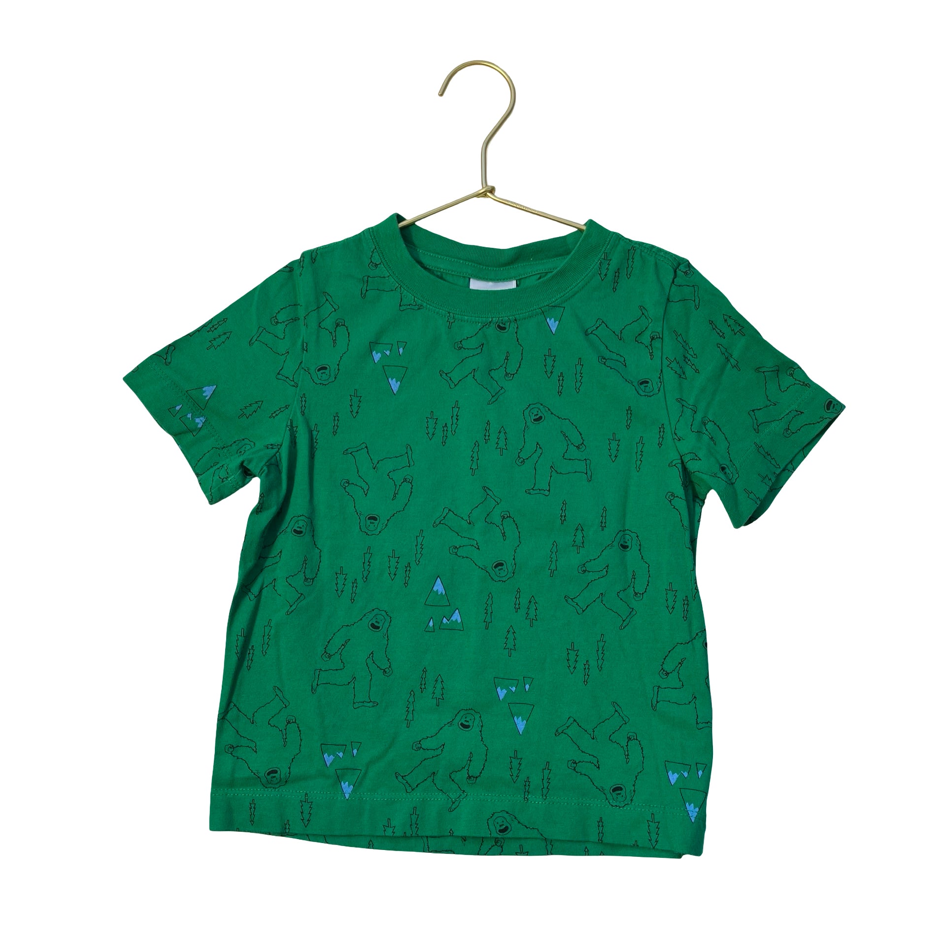 Hanna Andersson Green Yeti, Tree, Mountain Print T-Shirt - Size 3