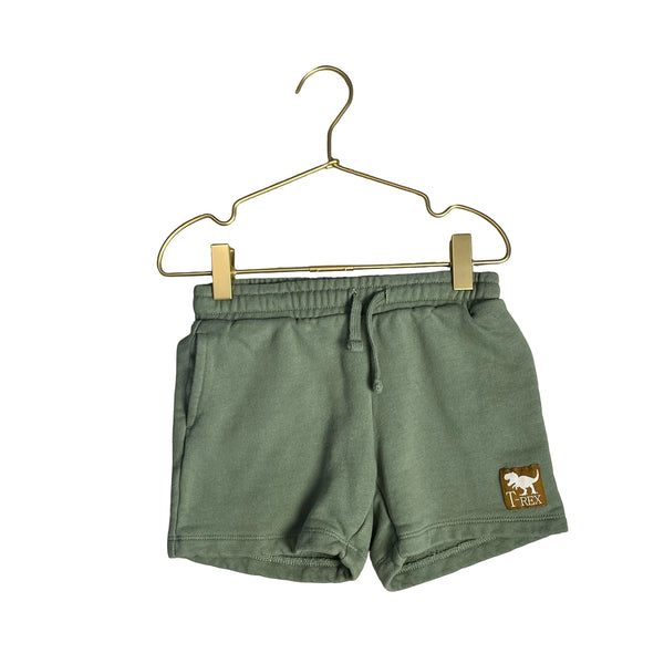 H&M Green 'T-Rex' Shorts - Size 4T
