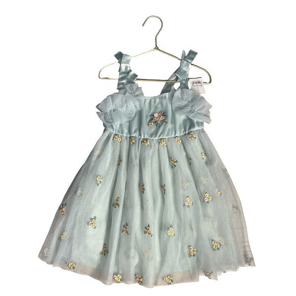 Audrey Camille Mint Green Embroidered Flower Sparkle Tulle Dress w Tags -  5T
