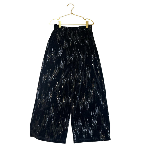 Zara Black Velvet & Sequin Pattern Pants - Size 9
