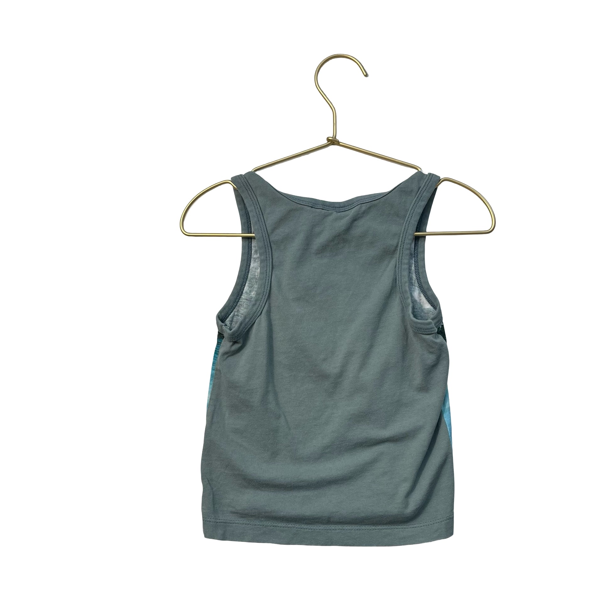 Molo Green & Blue Photo-Real Seal Turtle Tank Top - Size 92 (2)