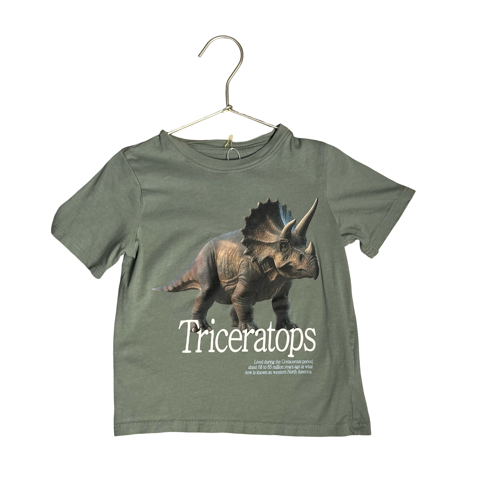 H&M Green 'Triceratops' Dino T-Shirt - Size 3-4