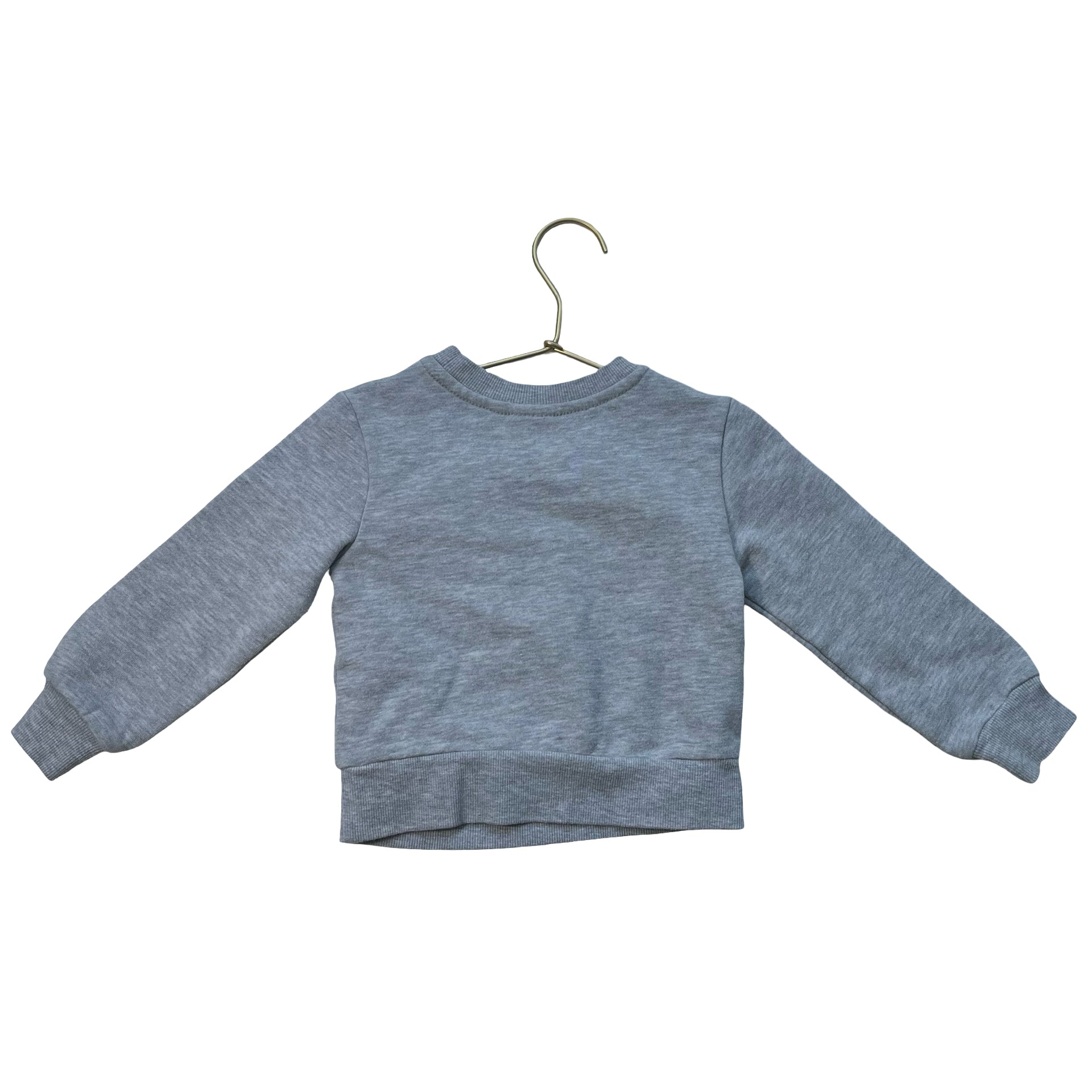 Disney Gray Princess Sweatshirt - Size 2T - Bounce Mkt