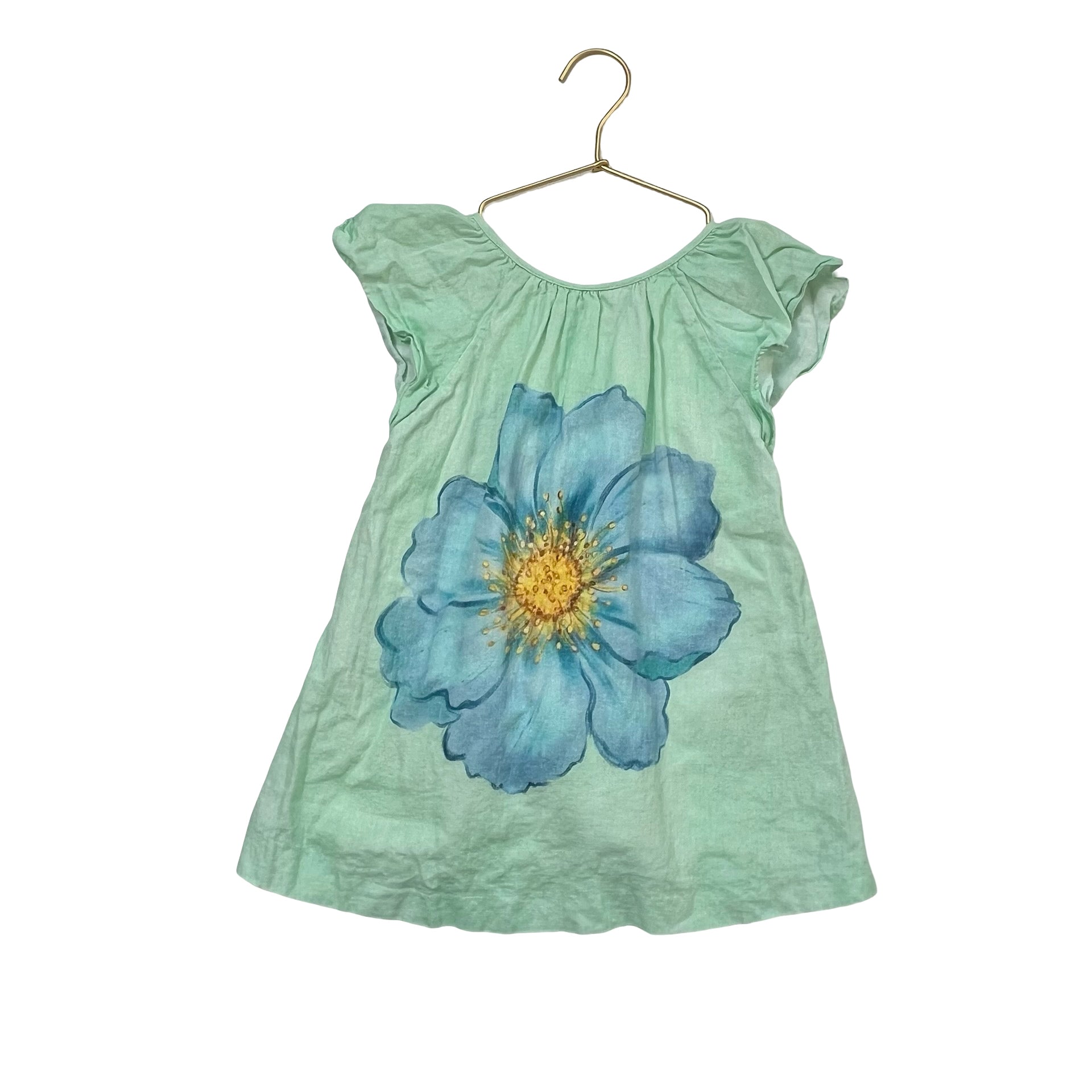Zara Mint Green & Blue Flower Graphic Dress - Size 4