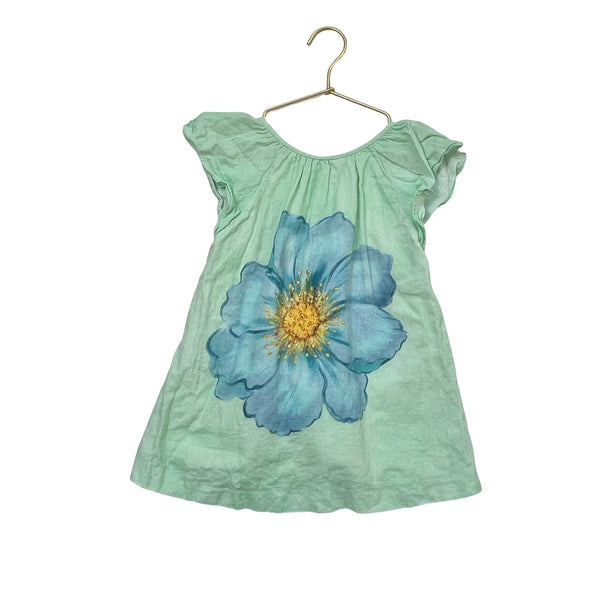 Zara Mint Green & Blue Flower Graphic Dress - Size 4