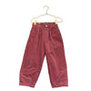 Zara Jersey-Lined Dusty Rose Corduroy Pants - Size 5