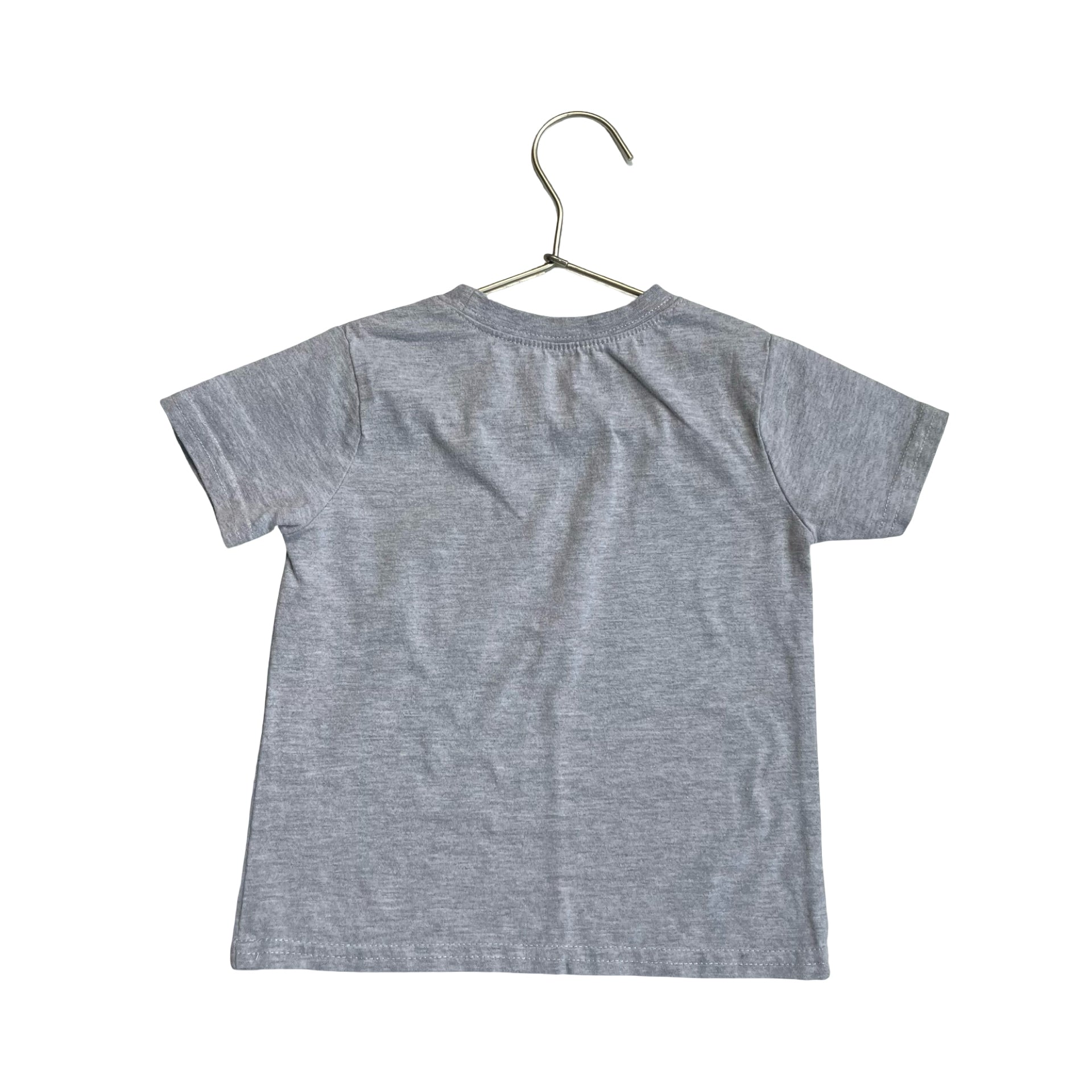 Stitchy Fish Gray Fish Flag T-Shirt - Size 2T