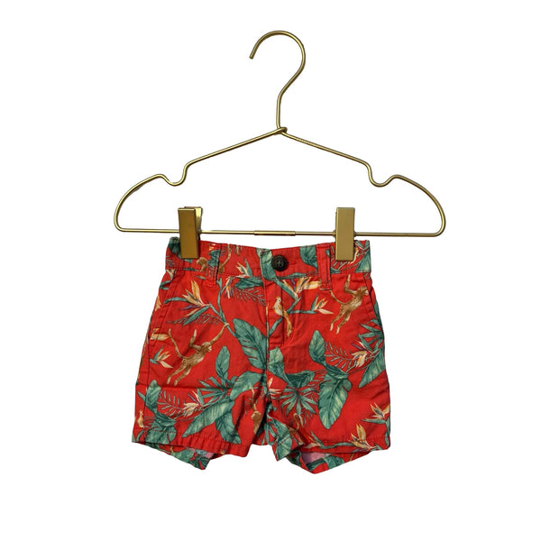 Janie and Jack Orange Jungle Print Shorts - Size 3 - 6 Mo - Bounce Mkt